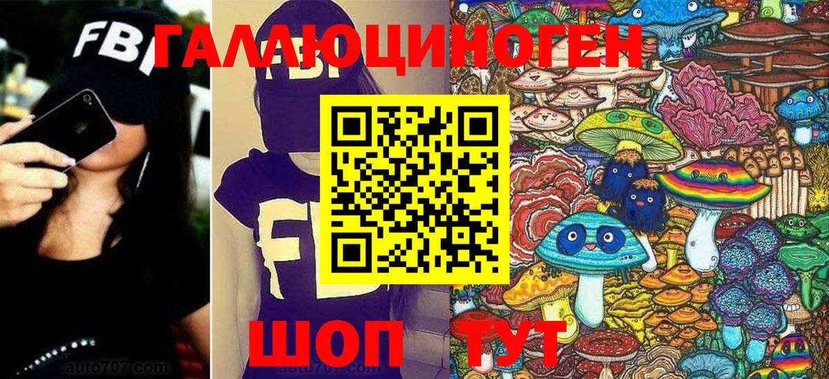 Галлюциногенные грибы Psilocybe Лесозаводск