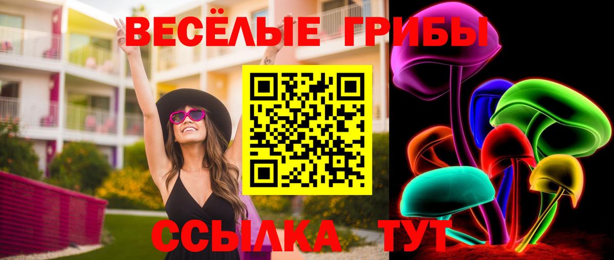 Лесозаводск  Галлюциногенные грибы прущие грибы  Вход с VPN  Псилоцибиновые грибы Psilocybe 